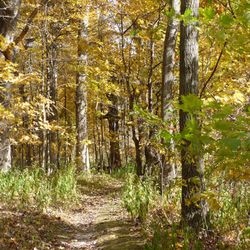 Walcamp - Walcamp hiking trail