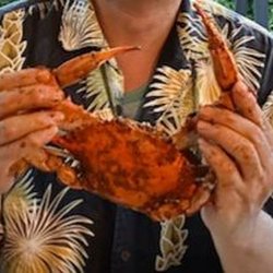 Captain Joe's Crab House - This is a large crab.  Wonderful!