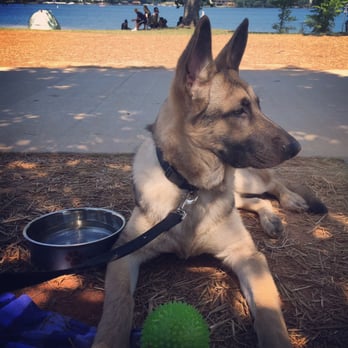 Ramsey Creek Park - He's really Enjoying this weather - Parks Near Me - Cornelius, North Carolina Ramsey Creek Park - He's really Enjoying this weather - Parks Near Me - Cornelius, North Carolina