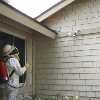 Elimitech Pest Control - Bee Extermination - Pest Control Near Me - West Covina, California