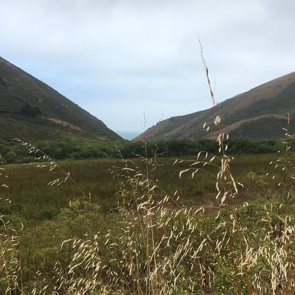 Tennessee Valley - Hiking Near Me - Mill Valley, California Tennessee Valley - Hiking Near Me - Mill Valley, California