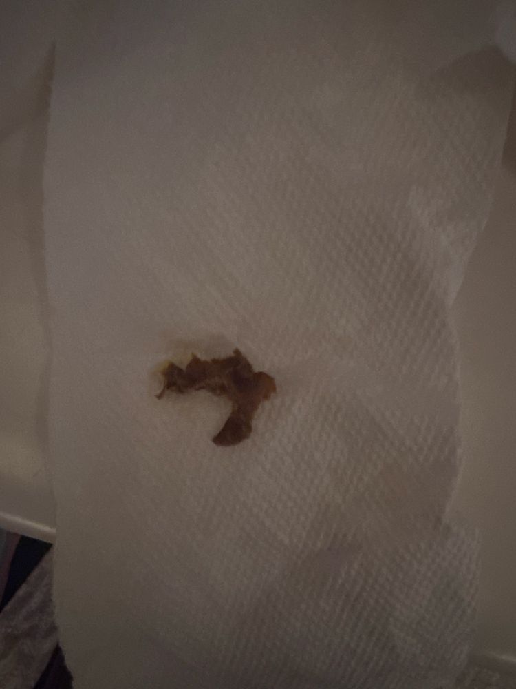 Food from Insomnia Cookies