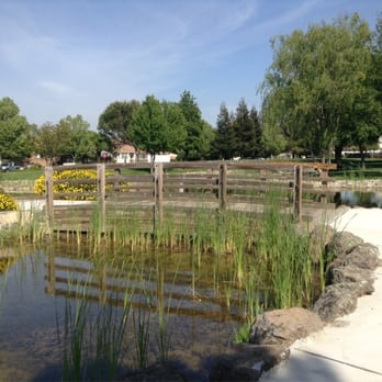 Lawler Falls Park - Parks Near Me - Suisun City, California Lawler Falls Park - Parks Near Me - Suisun City, California