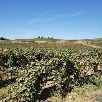 Wine Country Trails by Horseback - Tours Near Me - Temecula, California