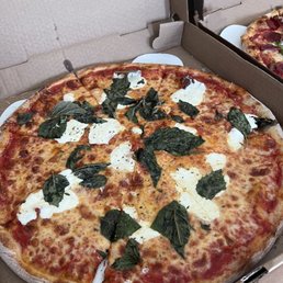 16 Margarita Pizza