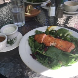 Salmon Salad