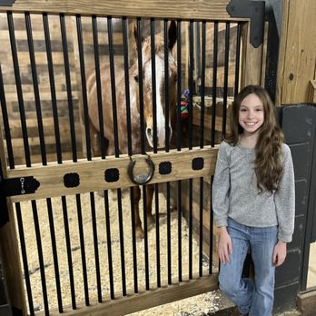 Chestnut Bay Equestrian - Horseback Riding Near Me - West Babylon, New York