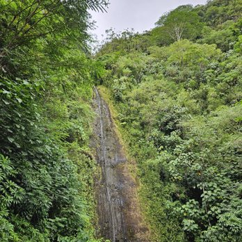 Mānoa Falls Trail - The falls - a trickle of water that day - Hiking Near Me - Honolulu, Hawaii