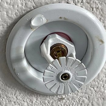 Legion Fire Protection - Slow leak on fire sprinkler. They were able to identify that the leak was coming from a joint above the sprinkler head before having to cut. - Fire Protection Services Near Me - Anaheim, California