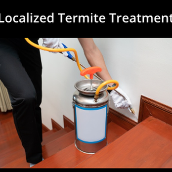 A Omega Termite & Construction Corp - Pest Control Near Me A Omega Termite & Construction Corp - Pest Control Near Me