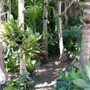 Photo of Allen Fossi Gardener