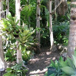 Allen Fossi Gardener