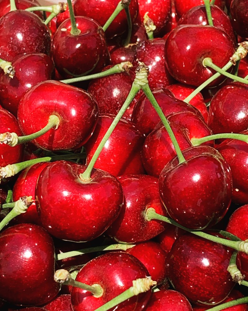 Lucky You Orchards - Escalon