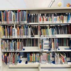 Chesapeake Public Library - Foreign language section in the Kids area