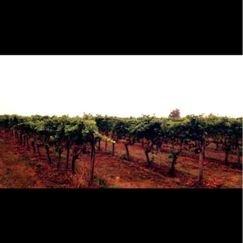 Sweet Cheeks Winery - Wineries Near Me - Eugene, Oregon Sweet Cheeks Winery - Wineries Near Me - Eugene, Oregon