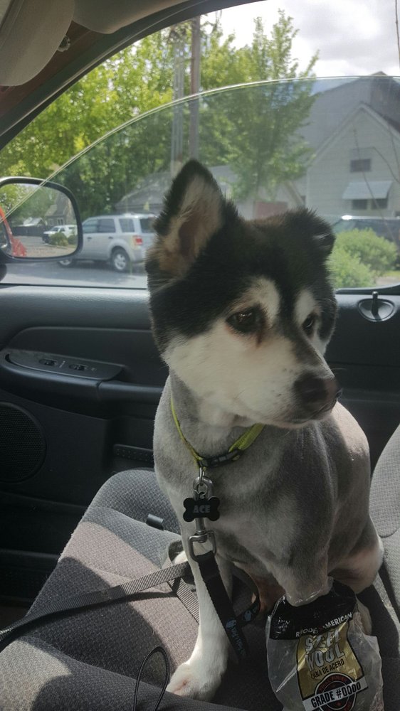 DOG HOUSE Updated June 2024 14 Reviews 1102 S Austin Ave