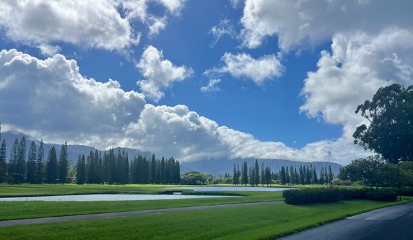 The Cliffs at Princeville by null