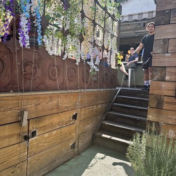 Calico - Cute garden area - Cocktail Bars Near Me - Washington, DC, District of Columbia