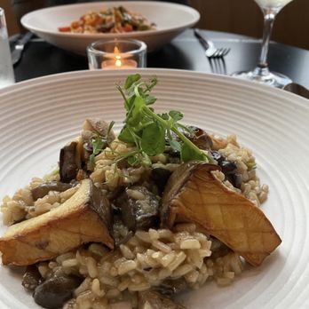 OLIVIA - Vegan mushroom risotto - Italian Near Me - Tampa, Florida OLIVIA - Vegan mushroom risotto - Italian Near Me - Tampa, Florida