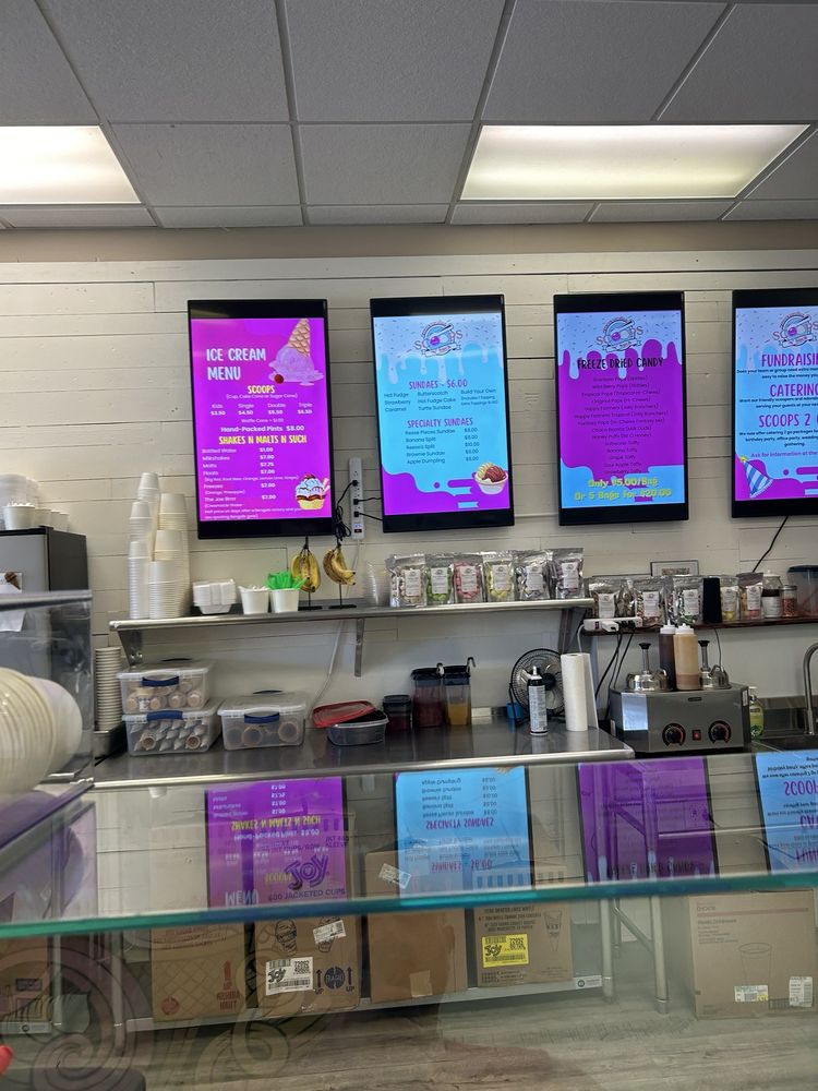 Scoops N Such Logo
