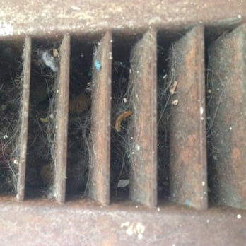 Aapex Property Management - Kitchen vent, so gross! - Property Management Near Me - Hayward, California Aapex Property Management - Kitchen vent, so gross! - Property Management Near Me - Hayward, California