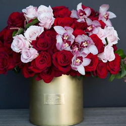 Avant Garden LA - Scarlet
In our {Le Doré Collection}
Available to order online: avantgardenla.com