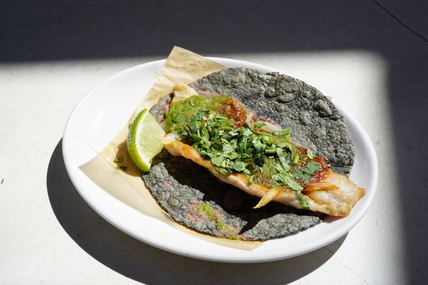 MADRE MEXICAN RESTAURANT & MEZCALERIA by null