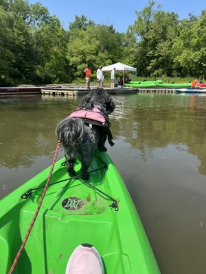 Boating In DC at Fletcher's Cove by null
