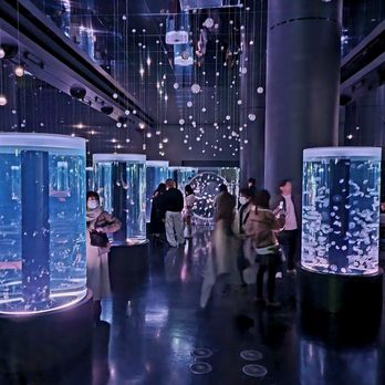 アクアパーク アクアパーク品川 - Updated October 2025 - 320 Photos & 30