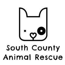 South County Animal Rescue - SCAR