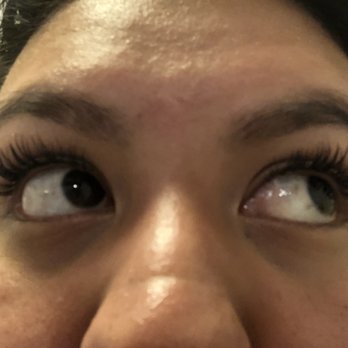 The Lotus Lab  - Classic w/ light volume - Eyebrow Services Near Me