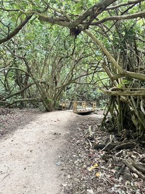 Hā'ena State Park by null