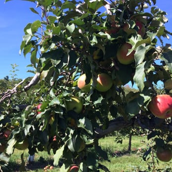 Pine Farms Orchard - Cafes Near Me - King City, Ontario