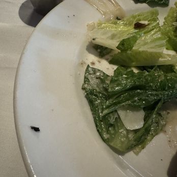 Carmine's Rosemont - Bug in my salad! - Italian Near Me - Rosemont, Illinois Carmine's Rosemont - Bug in my salad! - Italian Near Me - Rosemont, Illinois