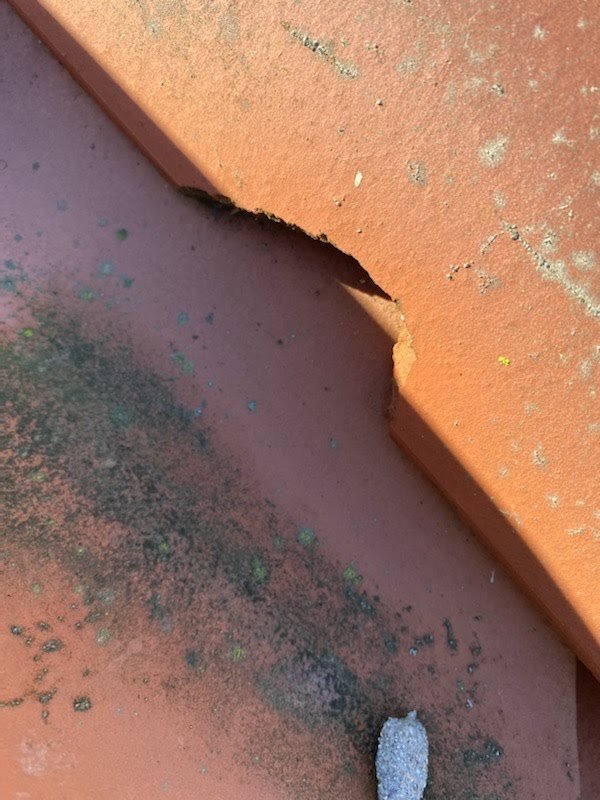 Slide of R. Haupt Roofing Construction, Inc.