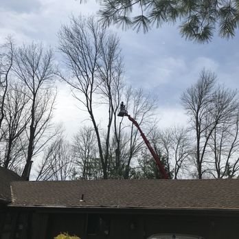 Expert Tree Service - Tree Services Near Me - Rochester, New York Expert Tree Service - Tree Services Near Me - Rochester, New York