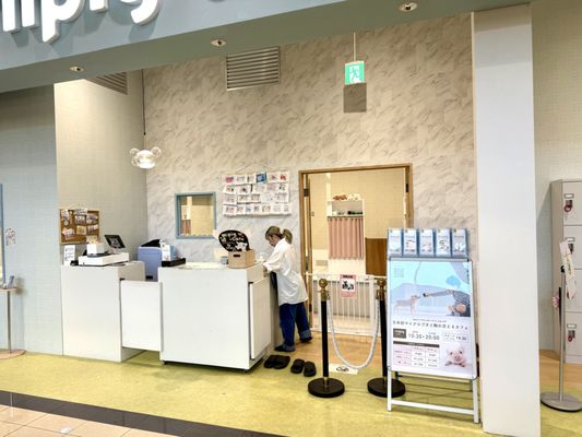 mipig cafe Harajuku by null