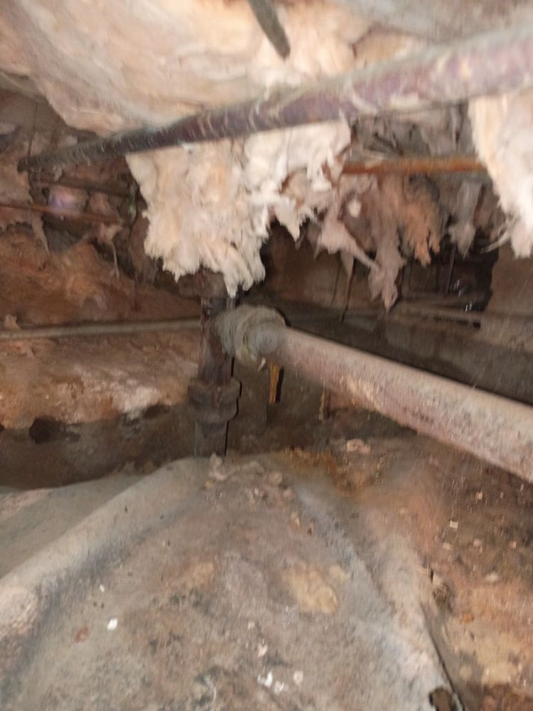 DeLoach's Home Services - tree service in Dickson, TN