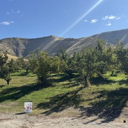 Tyler's Rocky Point Orchard - Apple Orachard