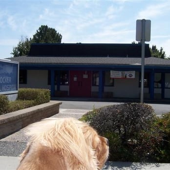 vca crocker animal hospital