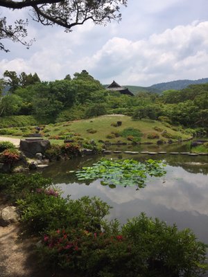 Isuien Garden and Neiraku Museum by null