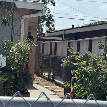 Juan Tree Service - Tree Services Near Me - Buena Park, California