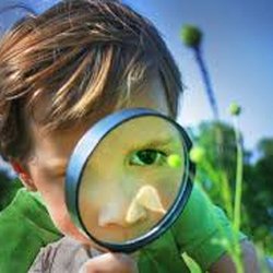 Montessori School of Hamilton - Explore your world! Â Summer Fun Camp!