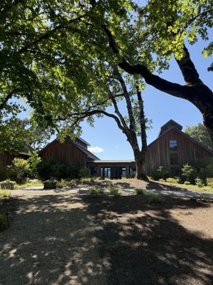 Resonance Vineyard by null