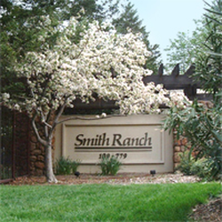 Smith Ranch Marketing
