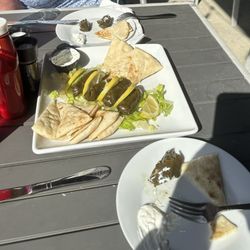Fire & Food - Dolmas (grape leaves) with pita & tzatziki