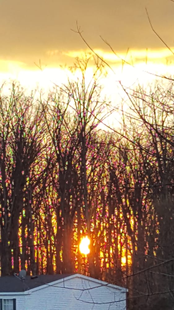 BLACKROCK MOBILE HOME COMMUNITY Updated August 2024 16071