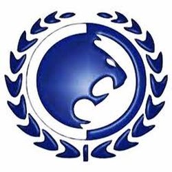 Renzo Gracie Alabama - RGA
