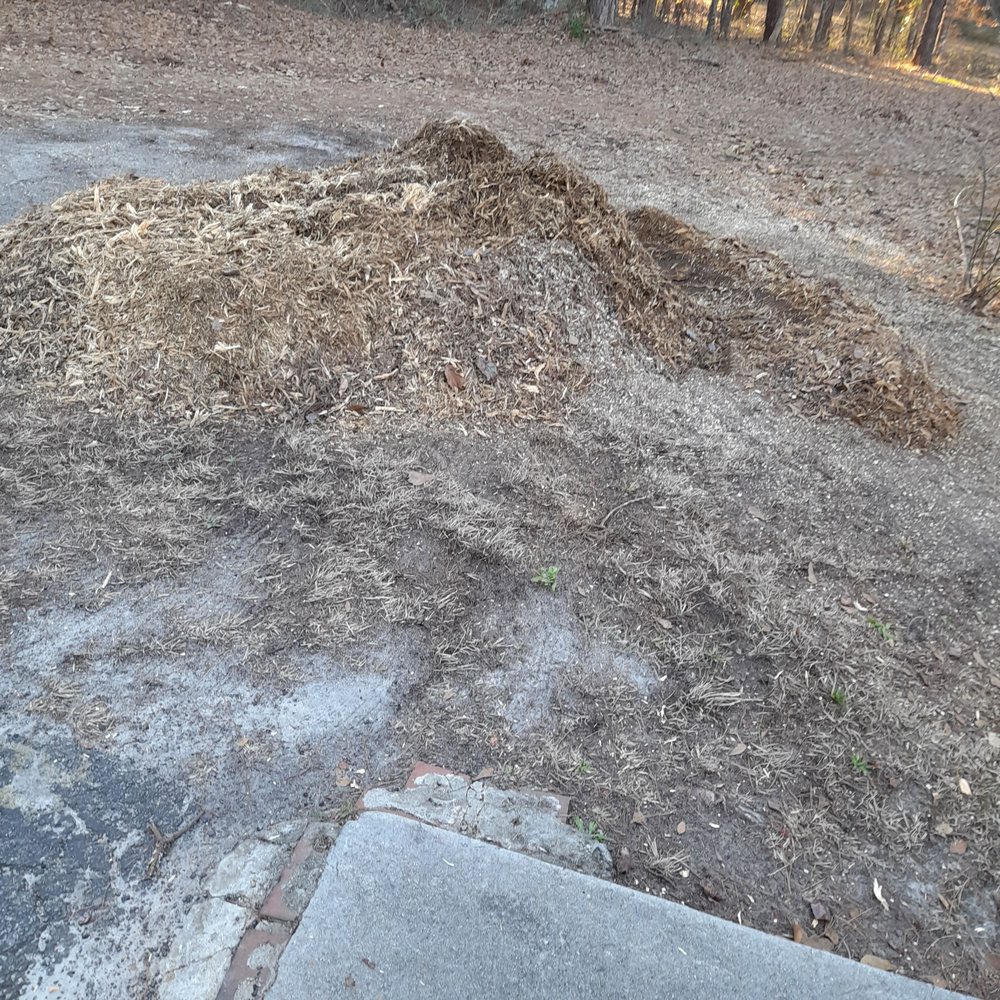 KEITH ISAAC TREE EXPERTS Updated August 2024 18 Photos 123