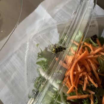 Pizza My Heart - I'm sad. A cucumber beetle in my salad not one but two! Salads are not washed people wash it again before putting it in the containers. - Pizza Near Me - Santa Clara, California Pizza My Heart - I'm sad. A cucumber beetle in my salad not one but two! Salads are not washed people wash it again before putting it in the containers. - Pizza Near Me - Santa Clara, California